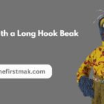 Meet the Muppet with a Long Hook Beak: A Closer Look at This Unique Character