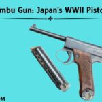 Nambu Gun